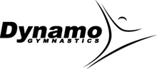 PlayZone at Dynamo Gymnastics Logo